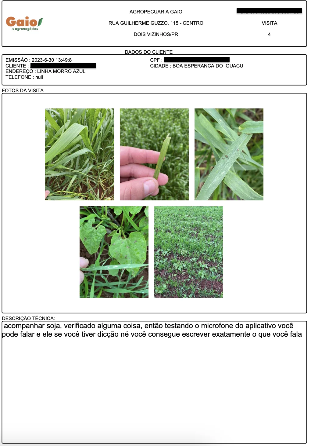 Laudo técnico gerado pelo sistema da Gaio Agronegócios